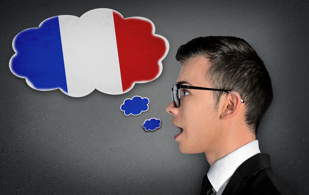 professionnels-services-fle